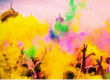 Holi Colours