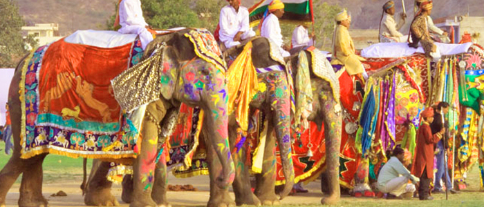 the elephant festival